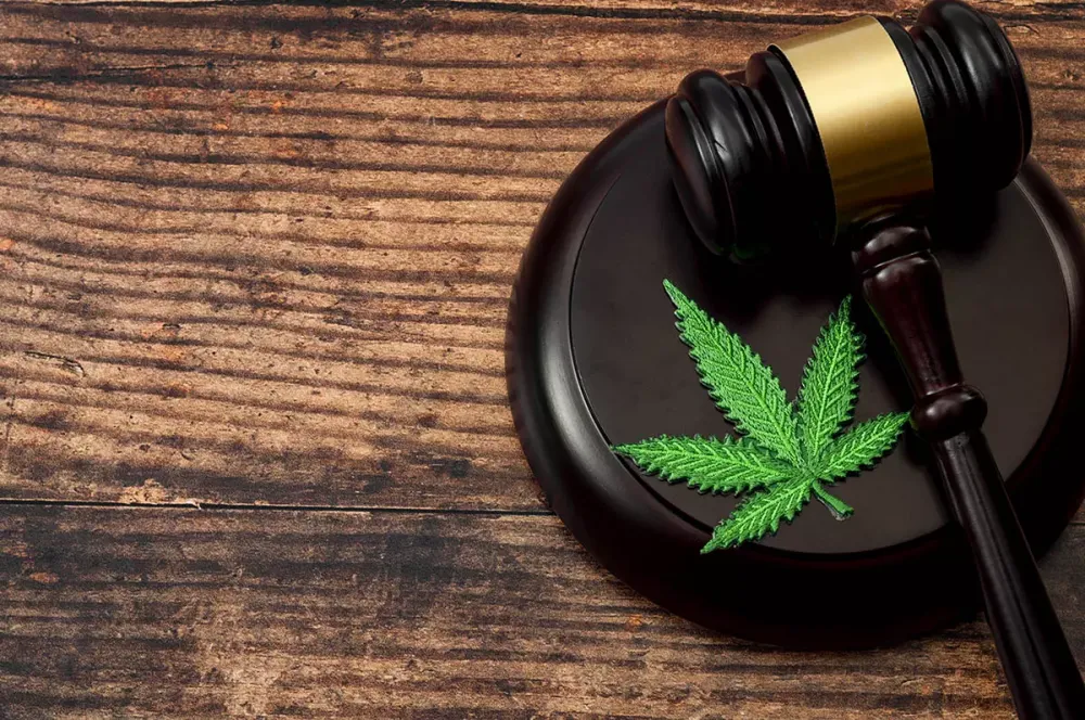 STF retoma julgamento sobre descriminalização de maconha