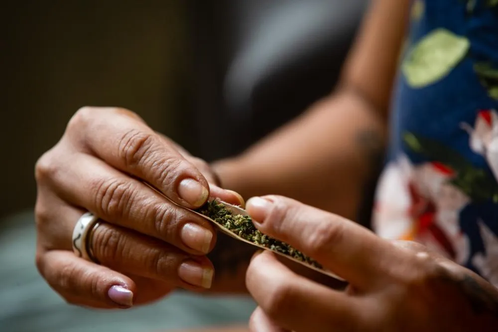 Após descriminalização, CNJ vai revisar prisões por tráfico de maconha