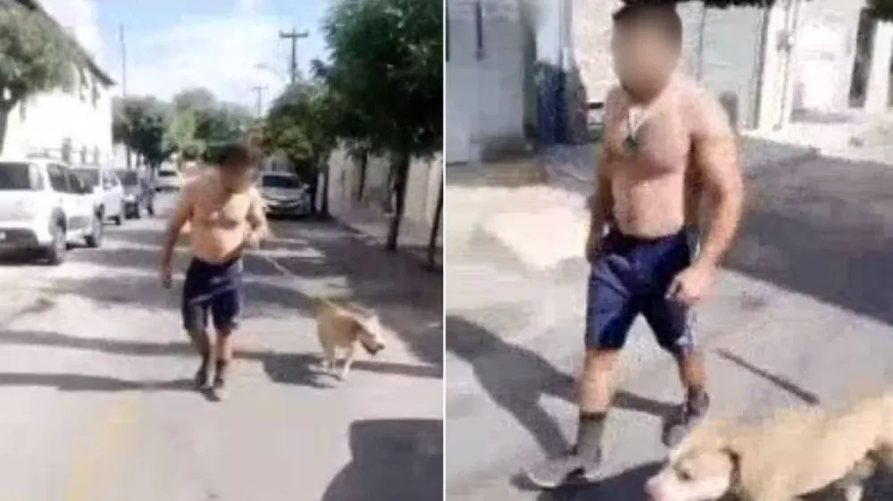 Moradores denunciam tutor de pitbull de usar cão para atacar outros animais em Sobral