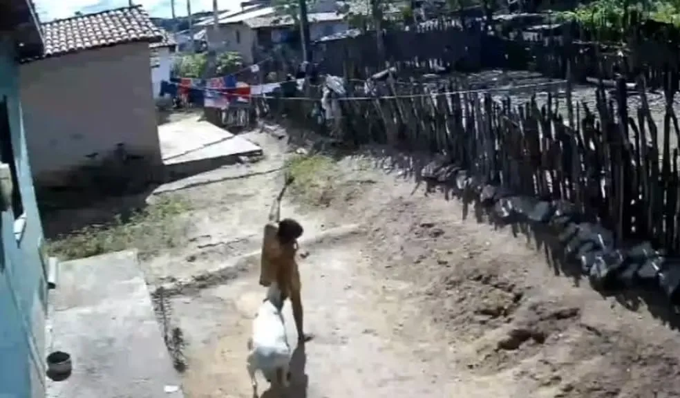 Foto: Reprodução
