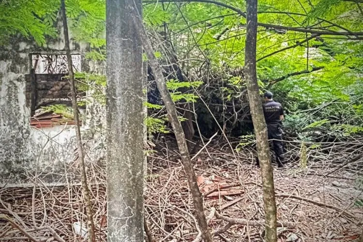 Cearense é investigado por supostamente armazenar e compartilhar conteúdo sexual infantil