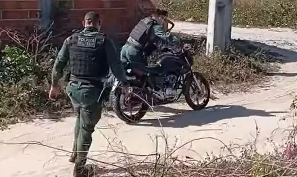 Reprodução