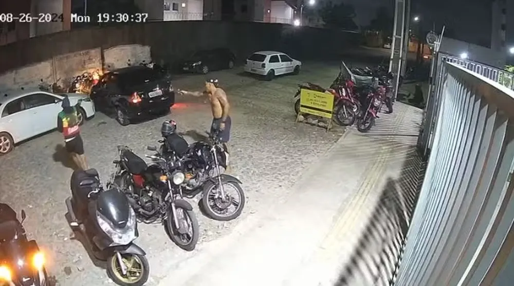 Reprodução