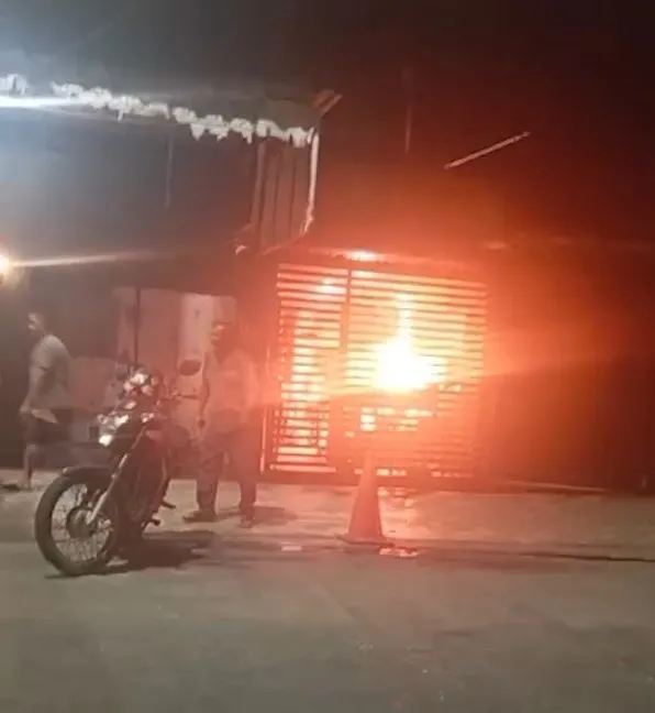Reprodução