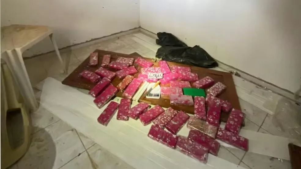 Maconha embalada para presente é apreendida em chácara no Ceará