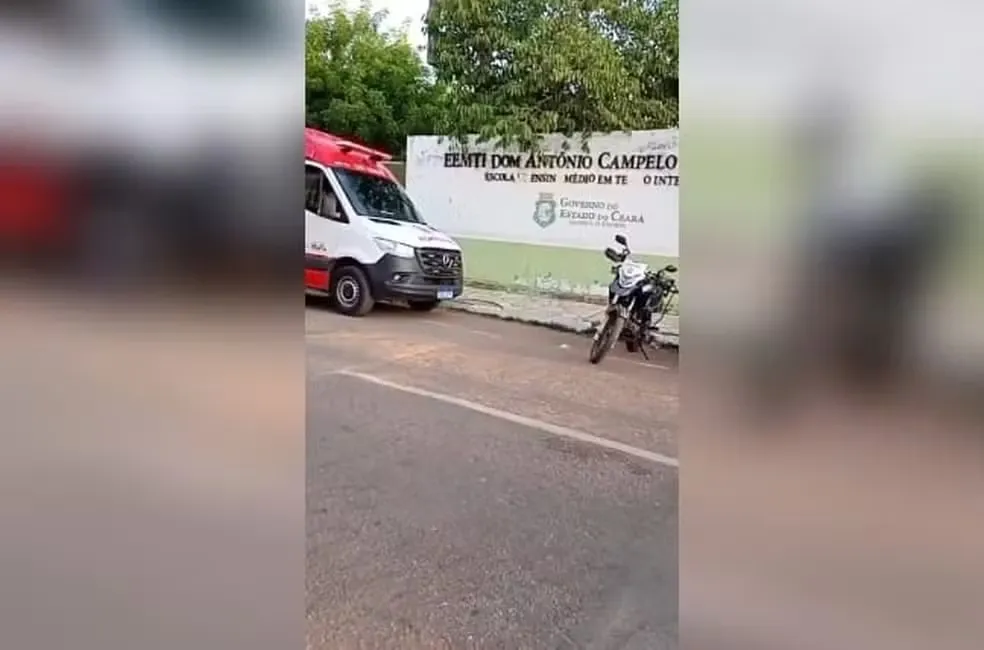 Reprodução