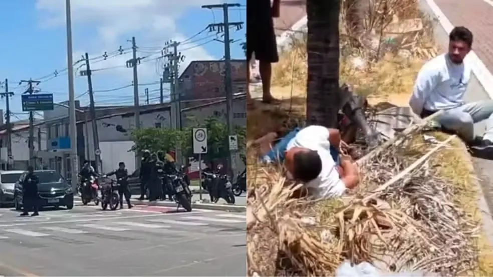 Reprodução