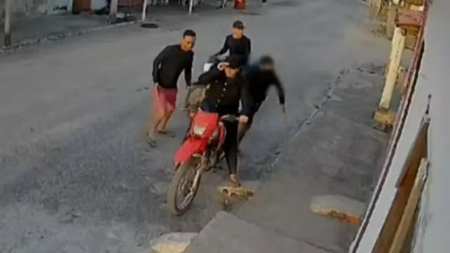 Reprodução