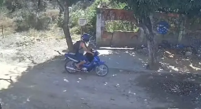 Reprodução