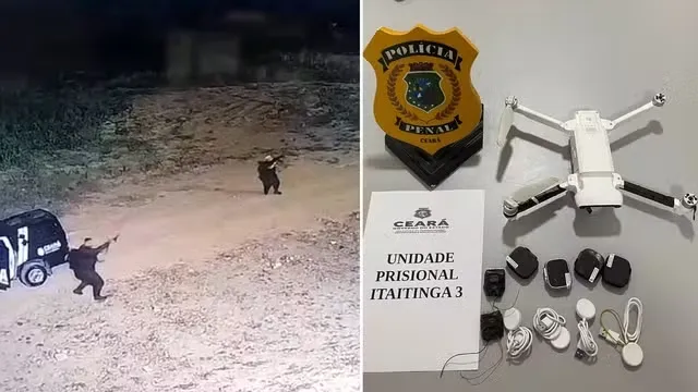 Reprodução