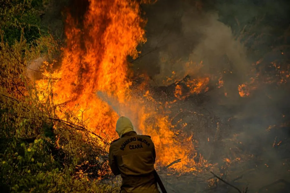 Ceará ganha plataforma de monitoramento para combate a incêndios florestais