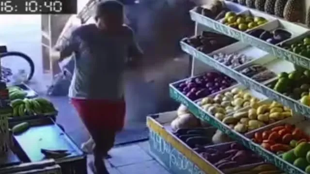 Reprodução