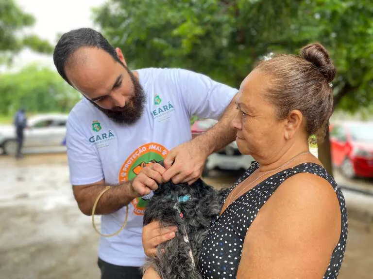 Ação de encoleiramento antiparasitário distribuirá 300 coleiras para cães em Santa Quitéria