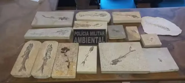 Polícia Militar/ Divulgação