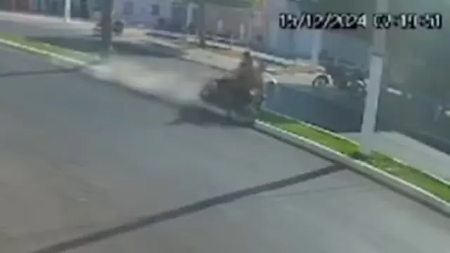 Reprodução