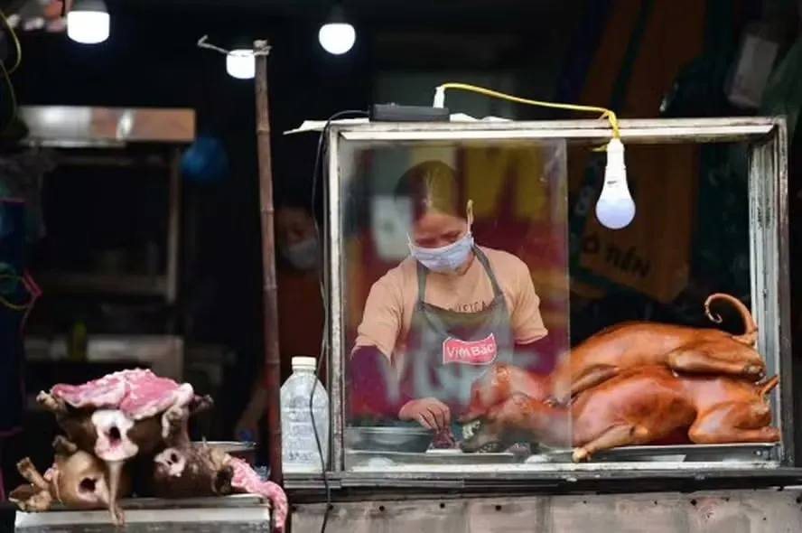 Dono de restaurante com carne de cachorro e gato no cardápio morre vítima de raiva