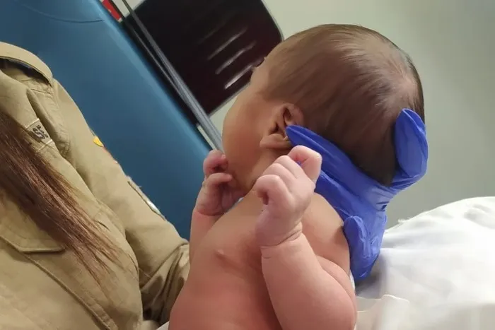 Corpo de Bombeiros de Goiás