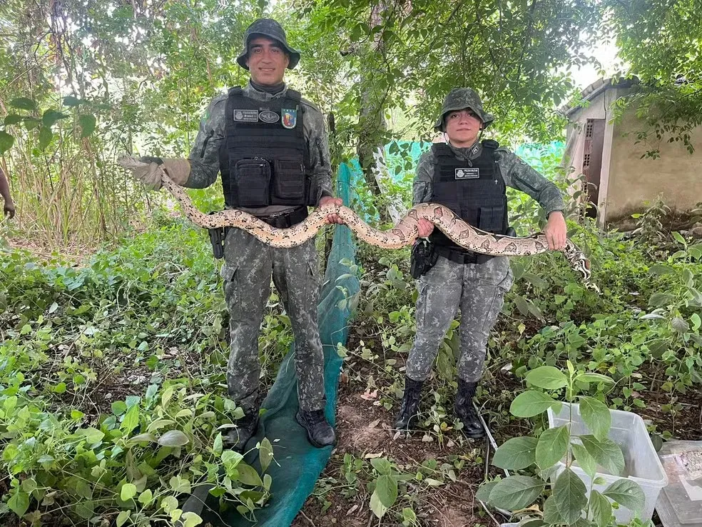 Foto: Polícia Militar/ Divulgação