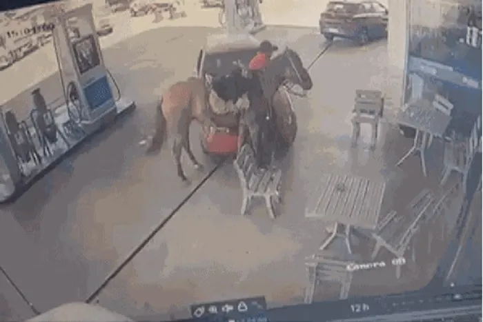 Homem atropela cavalo, esfaqueia dono do animal e vai preso