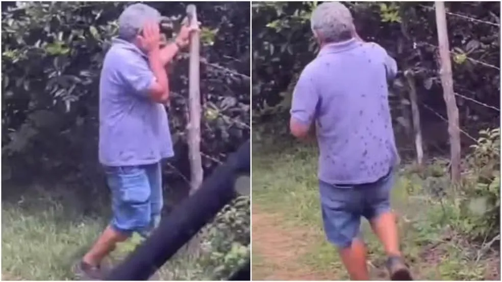 Ex-vereador morre atacado por abelhas no interior do Ceará