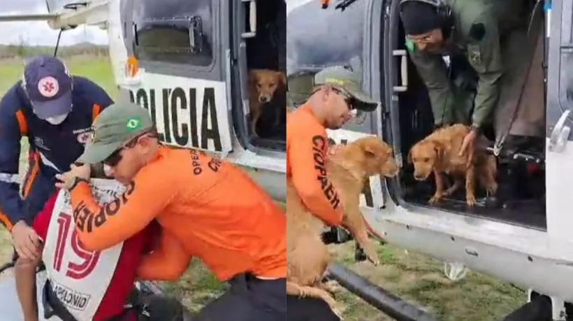 Cinco pessoas e três cachorros são resgatados de enchente no Ceará após rompimento de barragem