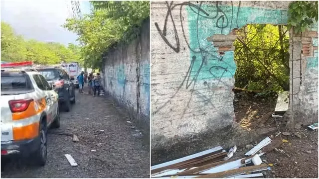 Reprodução