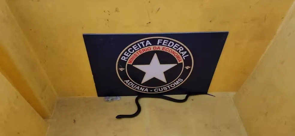 Foto: Divulgação / Receita Federal 