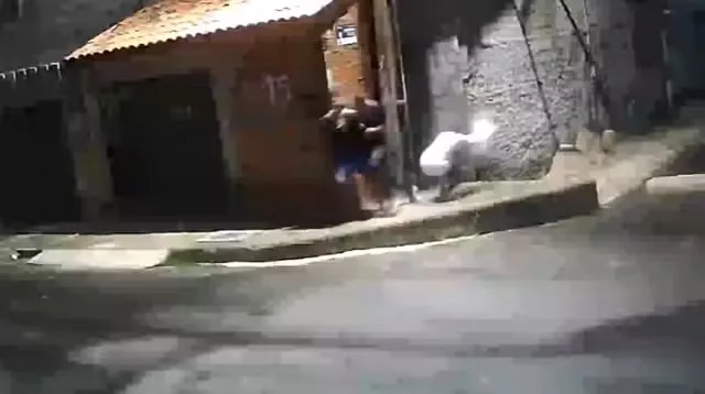 Reprodução