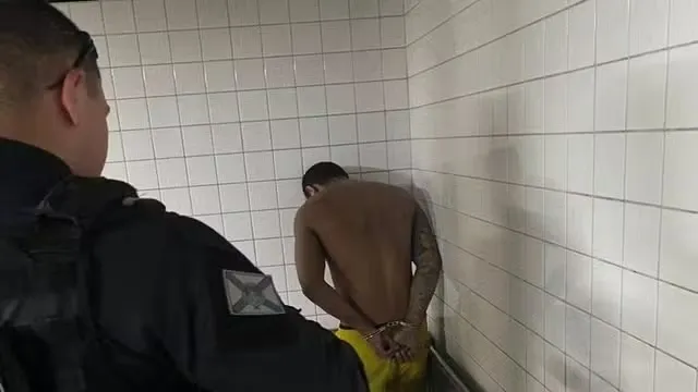 Reprodução