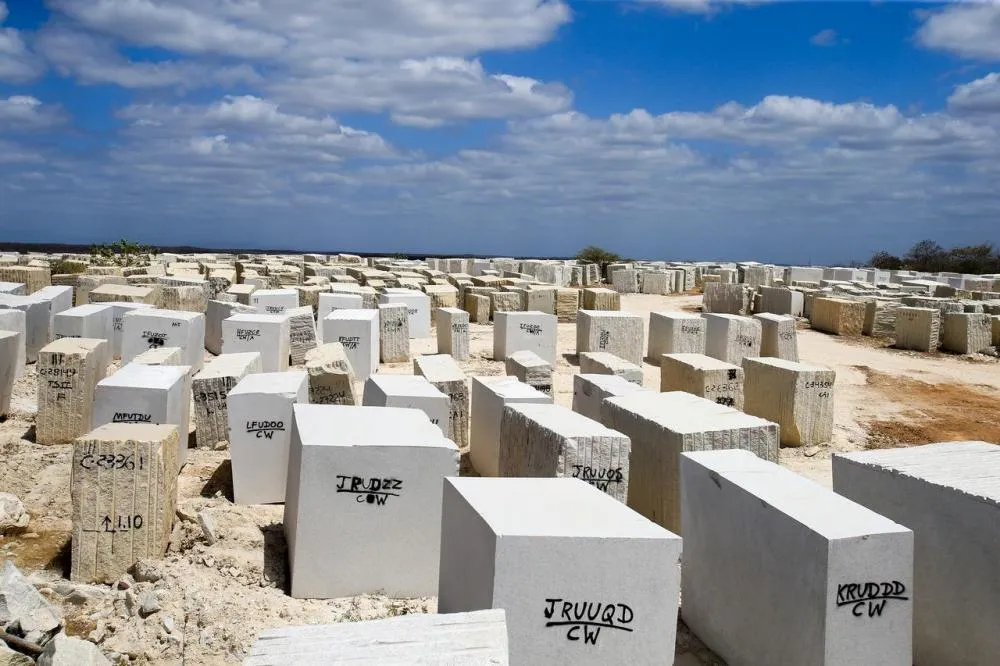 Foto: Natinho Rodrigues/Diário do Nordeste