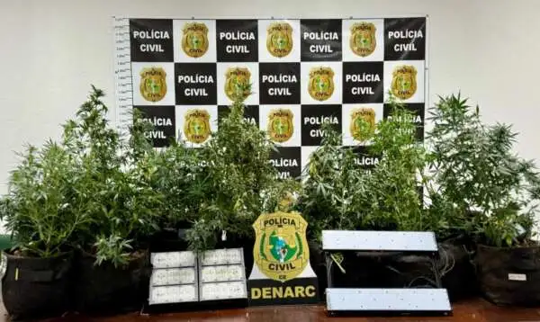 Divulgação/ PCCE