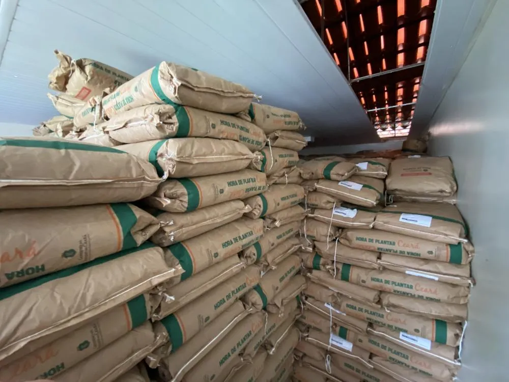 Entrega das sementes do Hora de Plantar começa nesta terça (18) em Santa Quitéria