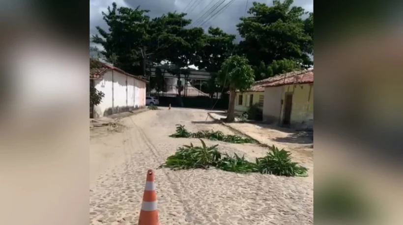 Cachorros morrem eletrocutados após fios de alta tensão caírem na rua, no Ceará