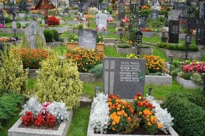 Reprodução/Divulgação