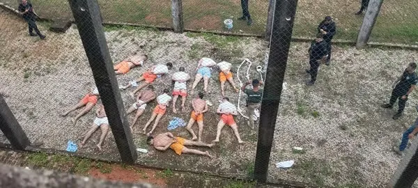 Reprodução