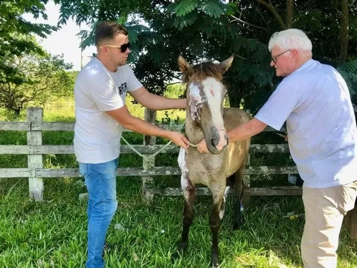 Divulgação/Juliano Palinha