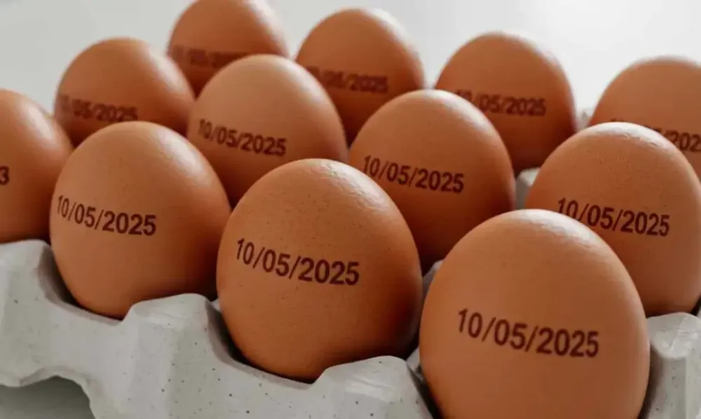 Foto: Prefeitura de Palmas