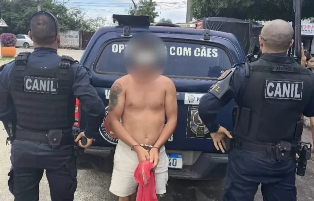 Divulgação