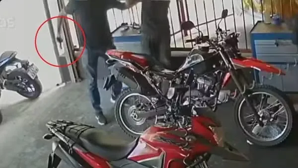 Reprodução