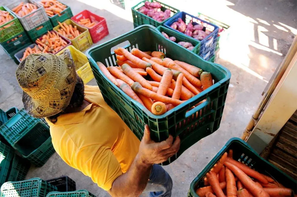 Governo assina PAA para Santa Quitéria, garantindo segurança alimentar e valorizando a agricultura