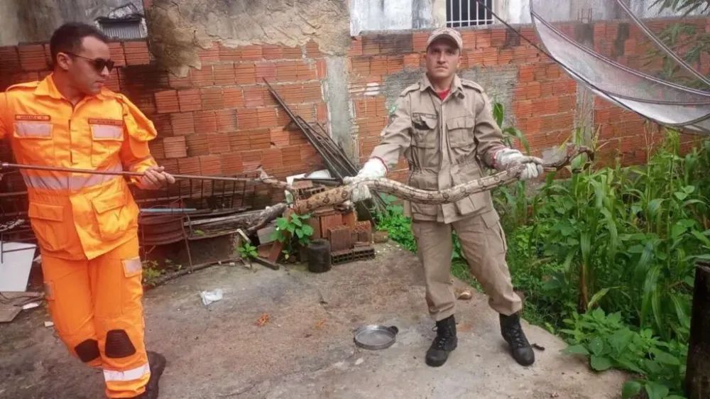 Foto: Reprodução