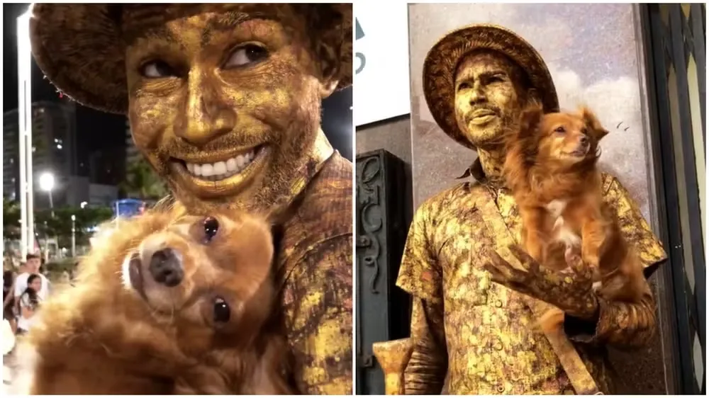 Cachorrinha famosa por se 'fingir de estátua' morre em Fortaleza