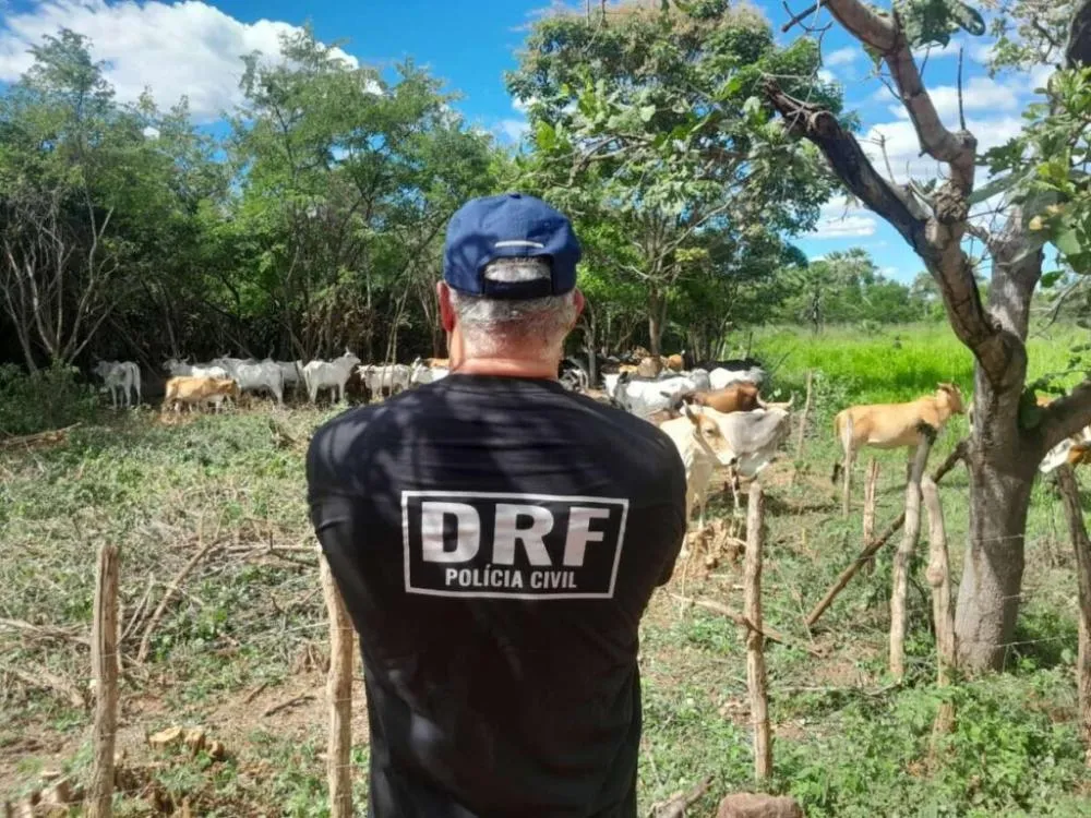 Foto: Divulgação / PCCE