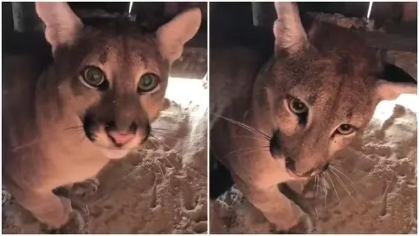  Foto: Wanderson Lima