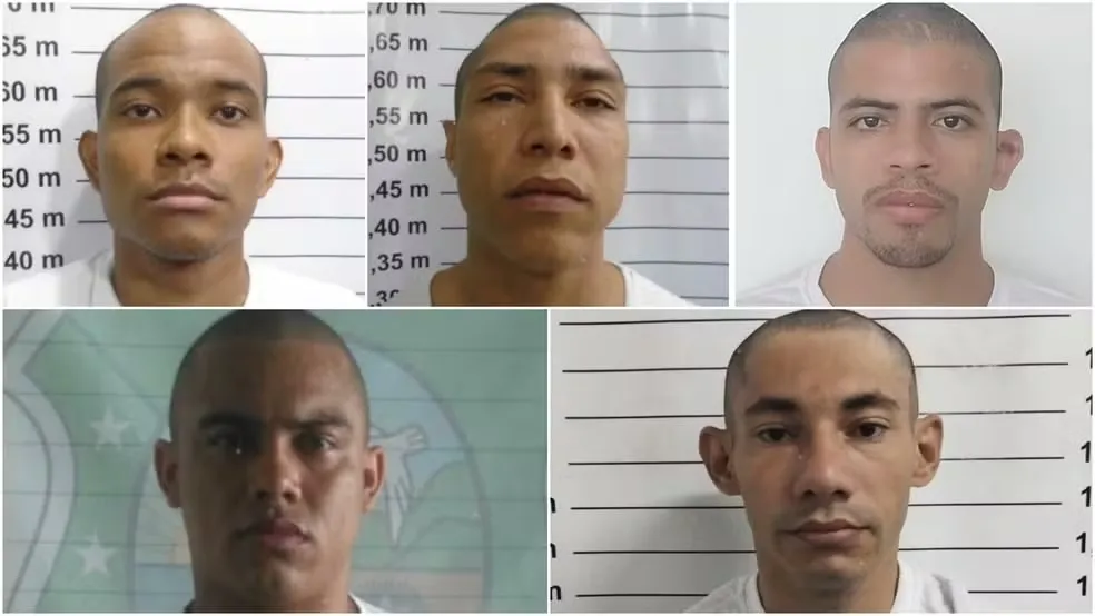 Foto: Reprodução / SAP 