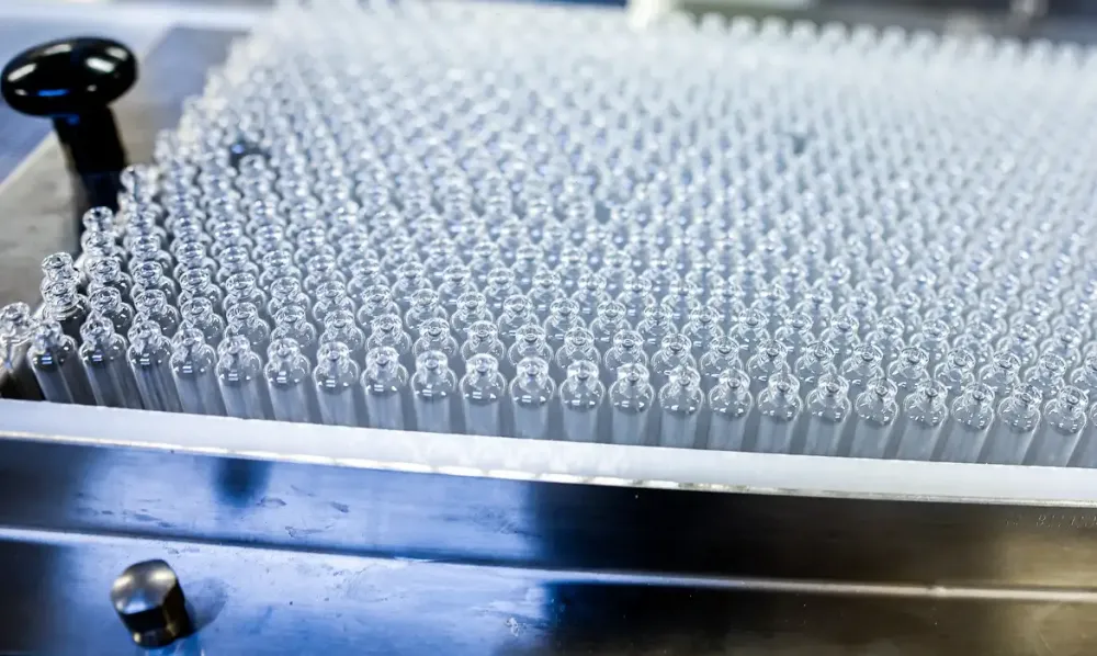 Foto: Ricardo Stuckert/PR