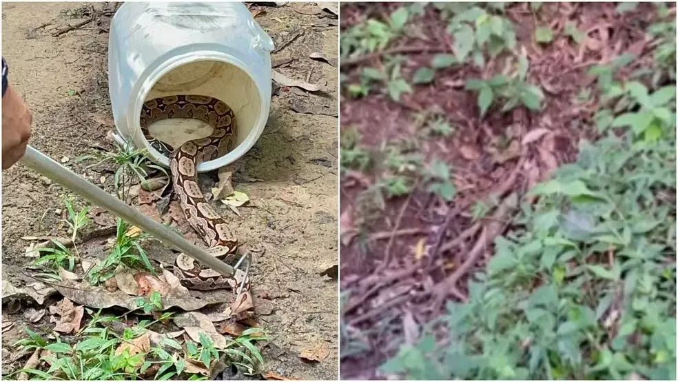  Foto: Divulgação/PMCE