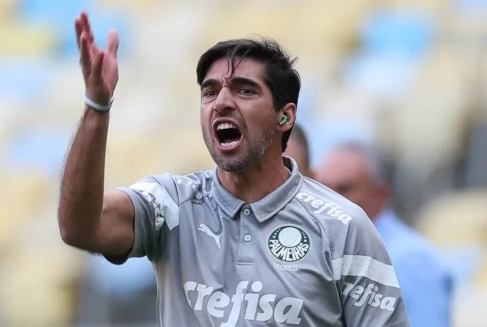 Cesar Greco/Palmeiras