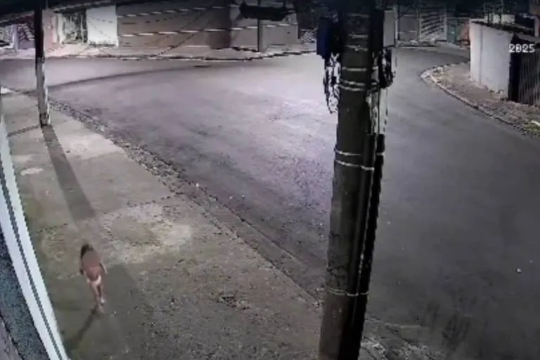 Mulher é presa após abandonar filha de 3 anos para ir a baile funk