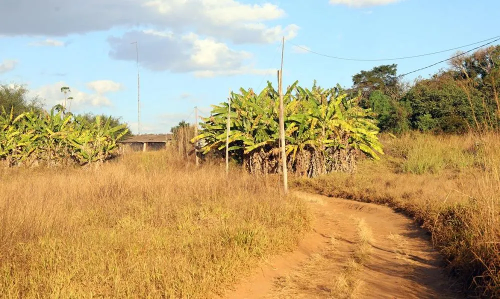 Valter Campanato/Agência Brasil